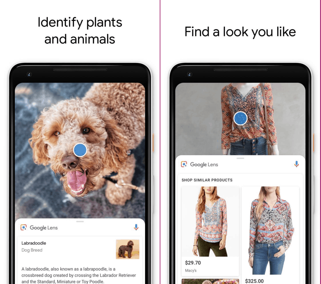 visual search