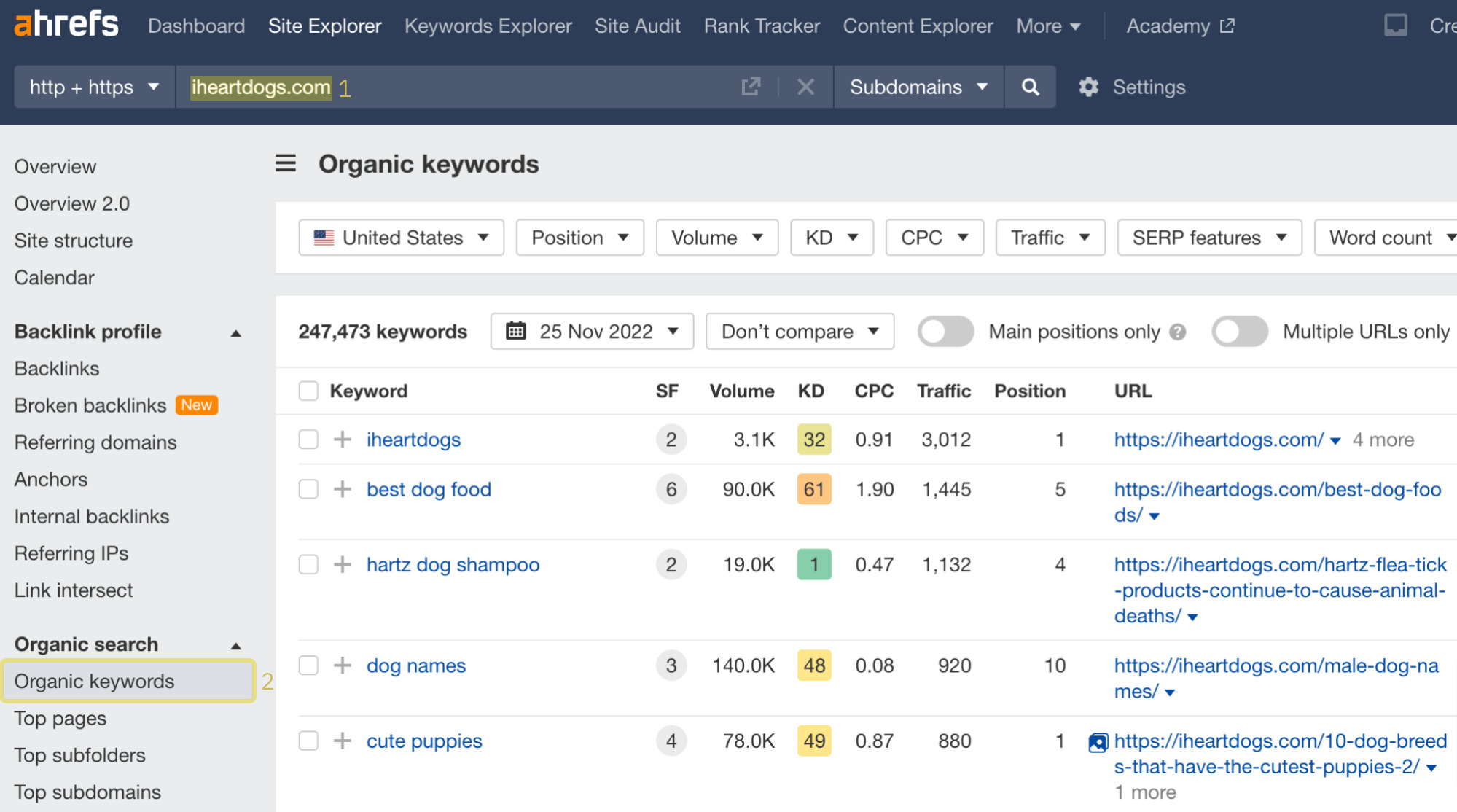 Analyzing competitor's keywords