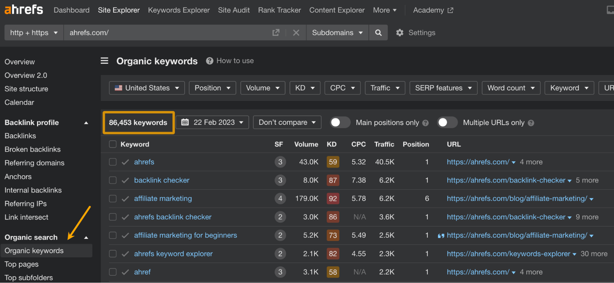 Organic keywords report in Site Explorer