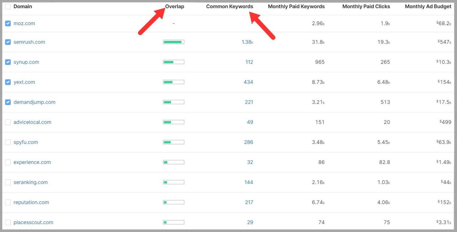 SpyFu 48 Keywords competing domains bid