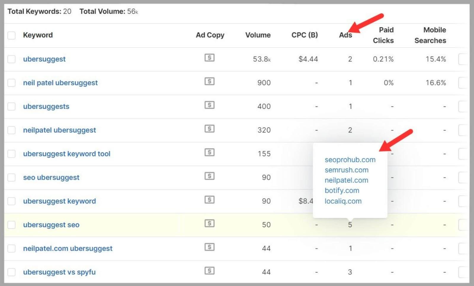 SpyFu 53 Domains advertising for target keyword