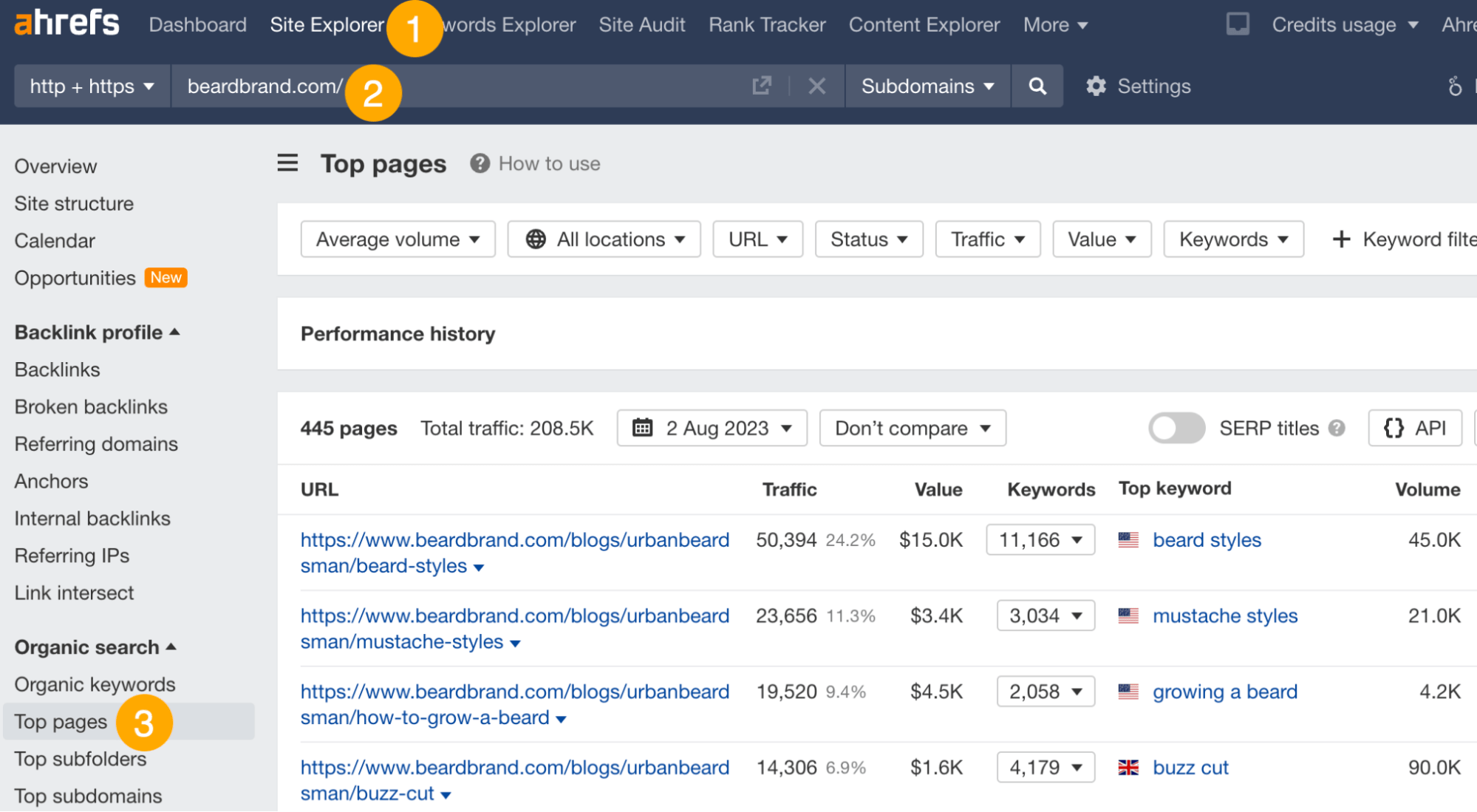 24 Actionable Blogging Tips for Beginners | Finding the keywords competitors rank for, via Ahrefs' Site Explorer
