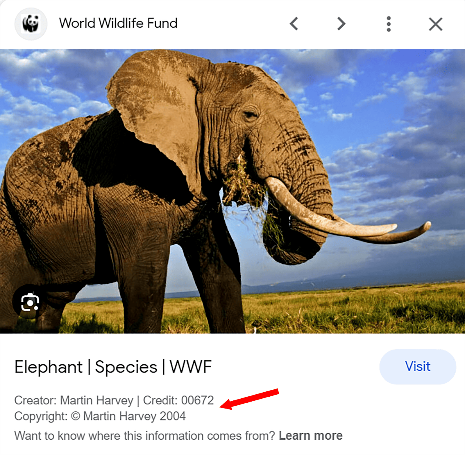 Image with IPTC photo metadata Image SEO: 15 Tips for Image Optimization |