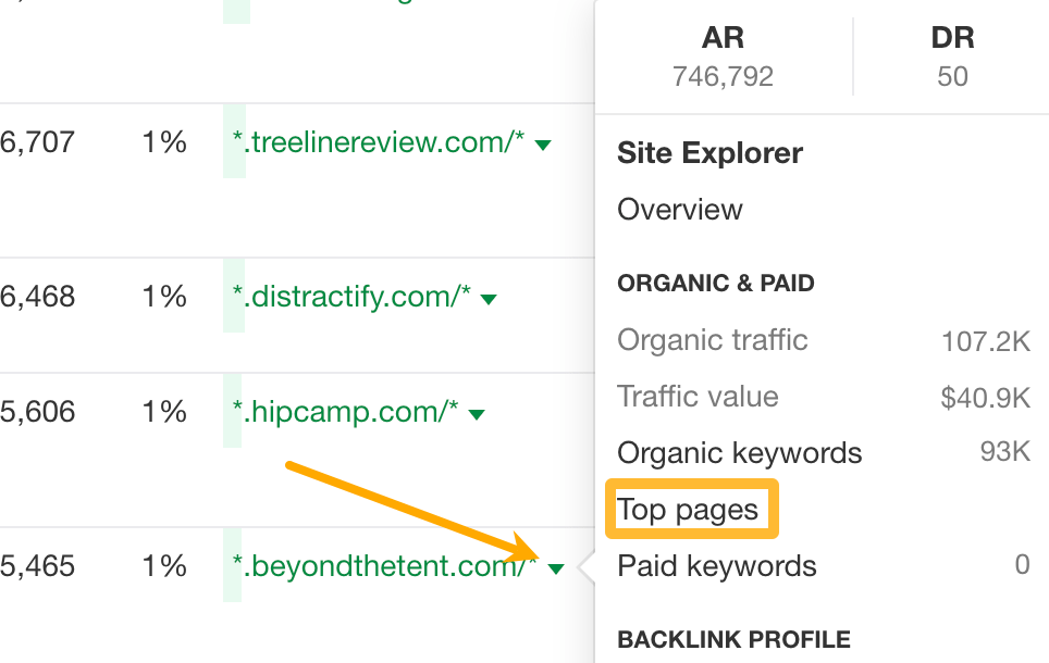Click on Top pages for any site in the Traffic share by domain to see their pages with the most search traffic