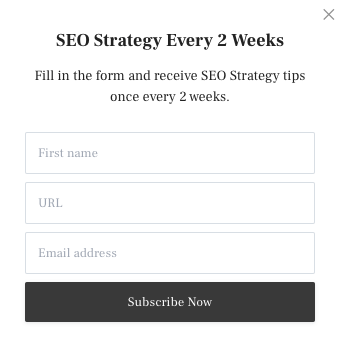 SEO strategy newsletter image