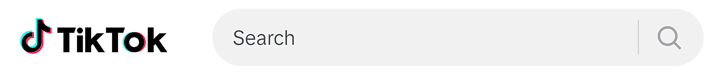 TikTok – Search bar