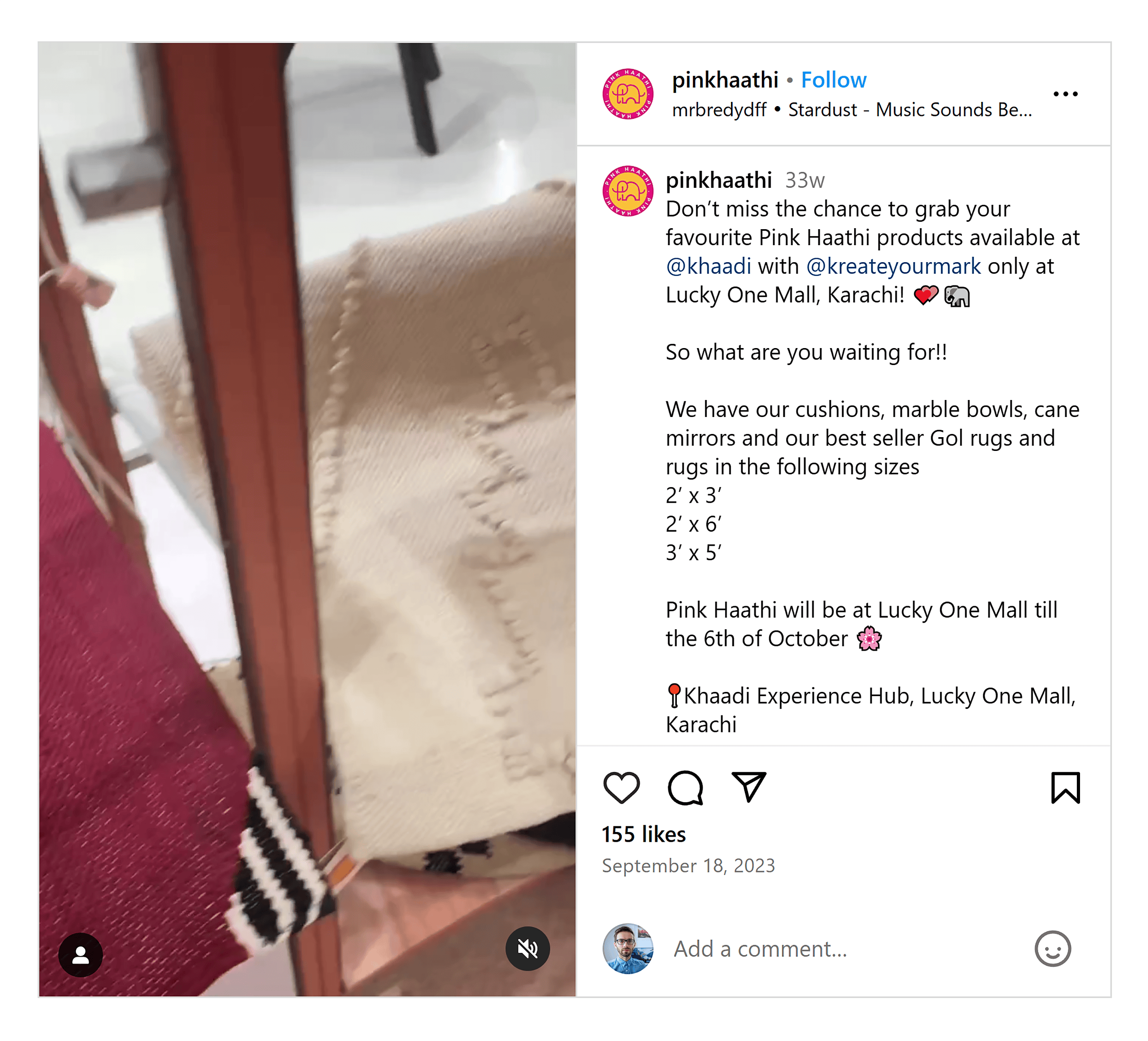 Instagram – Pink Haathi Instagram – Pink Haathi