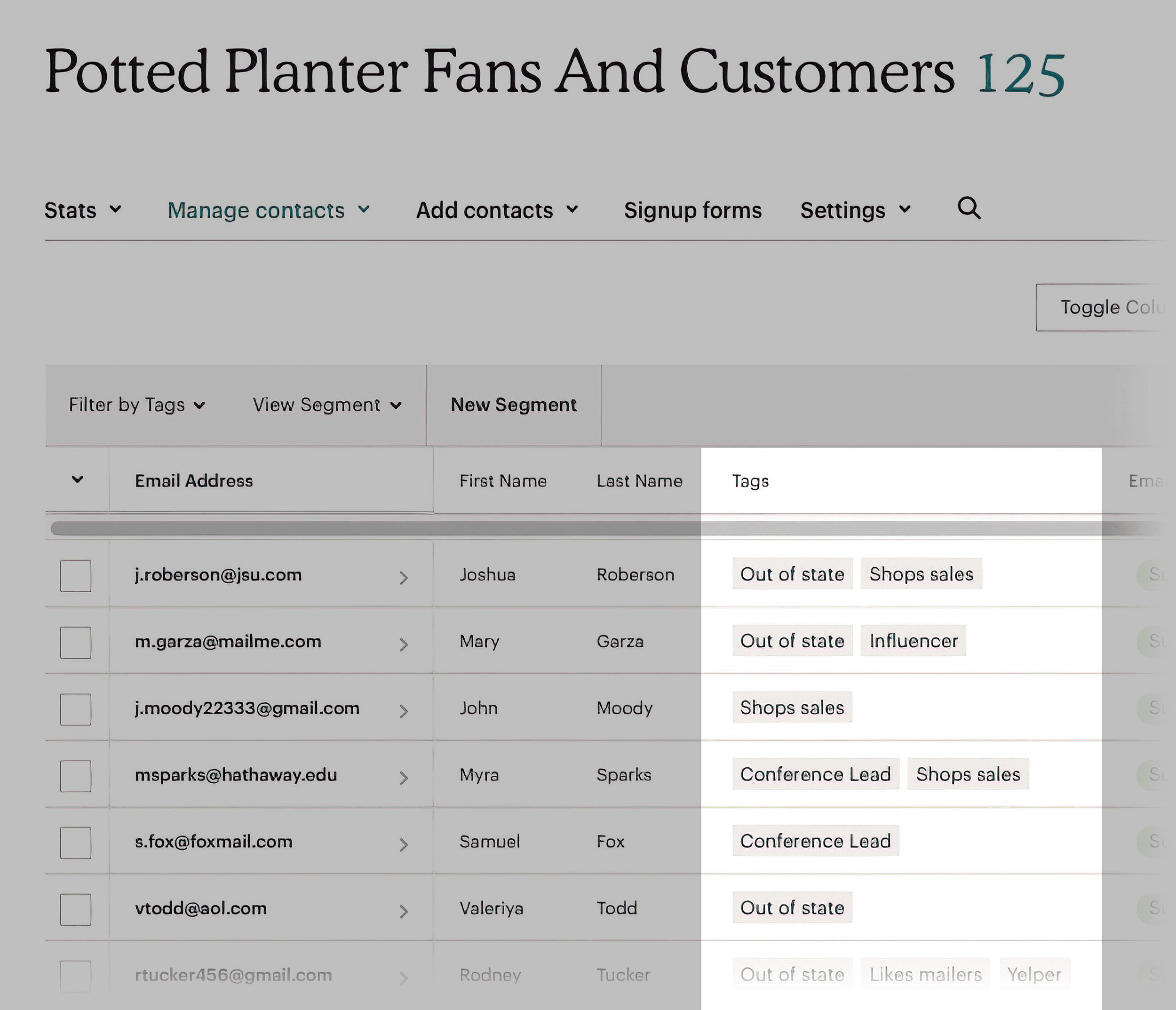MailChimp – Tags MailChimp – Tags