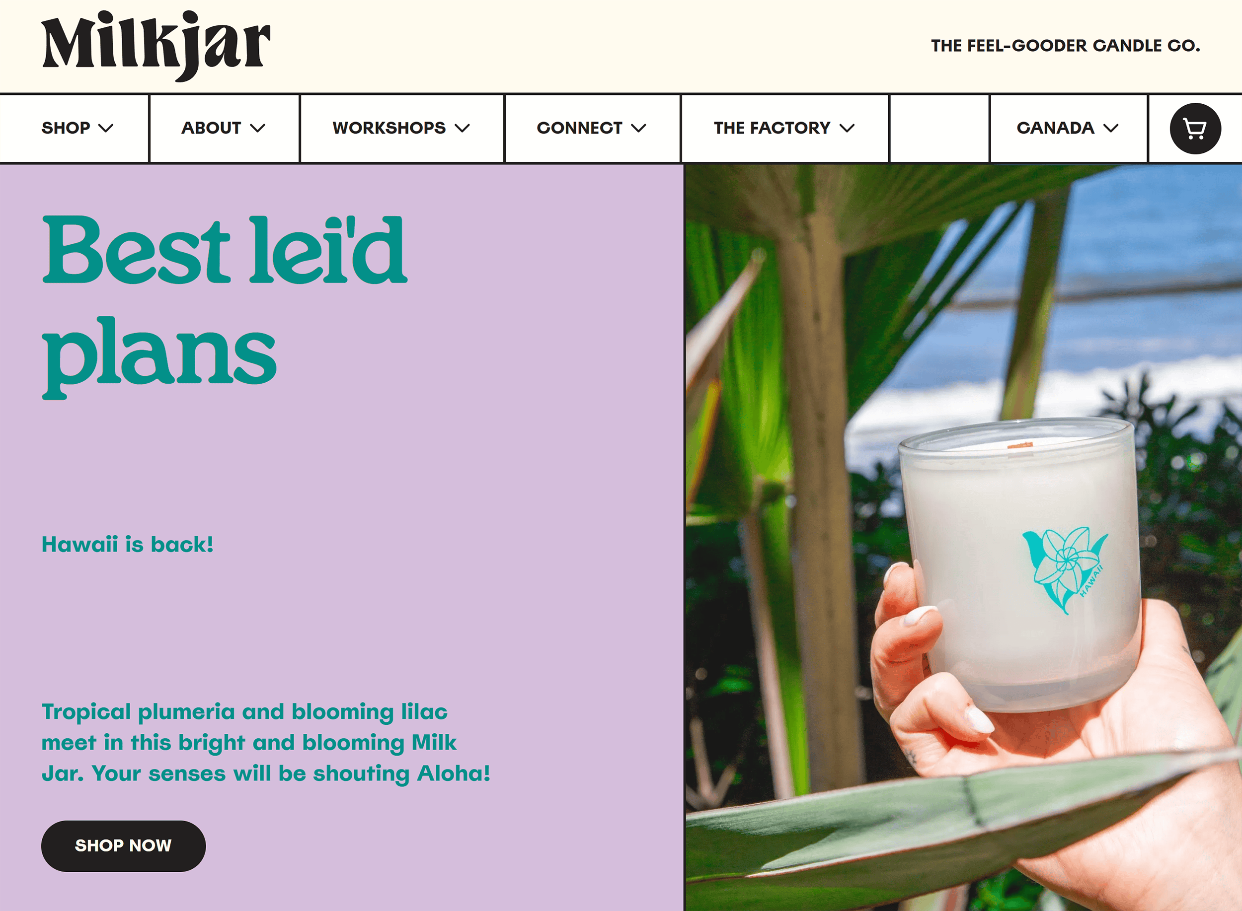 Milkjar Milkjar