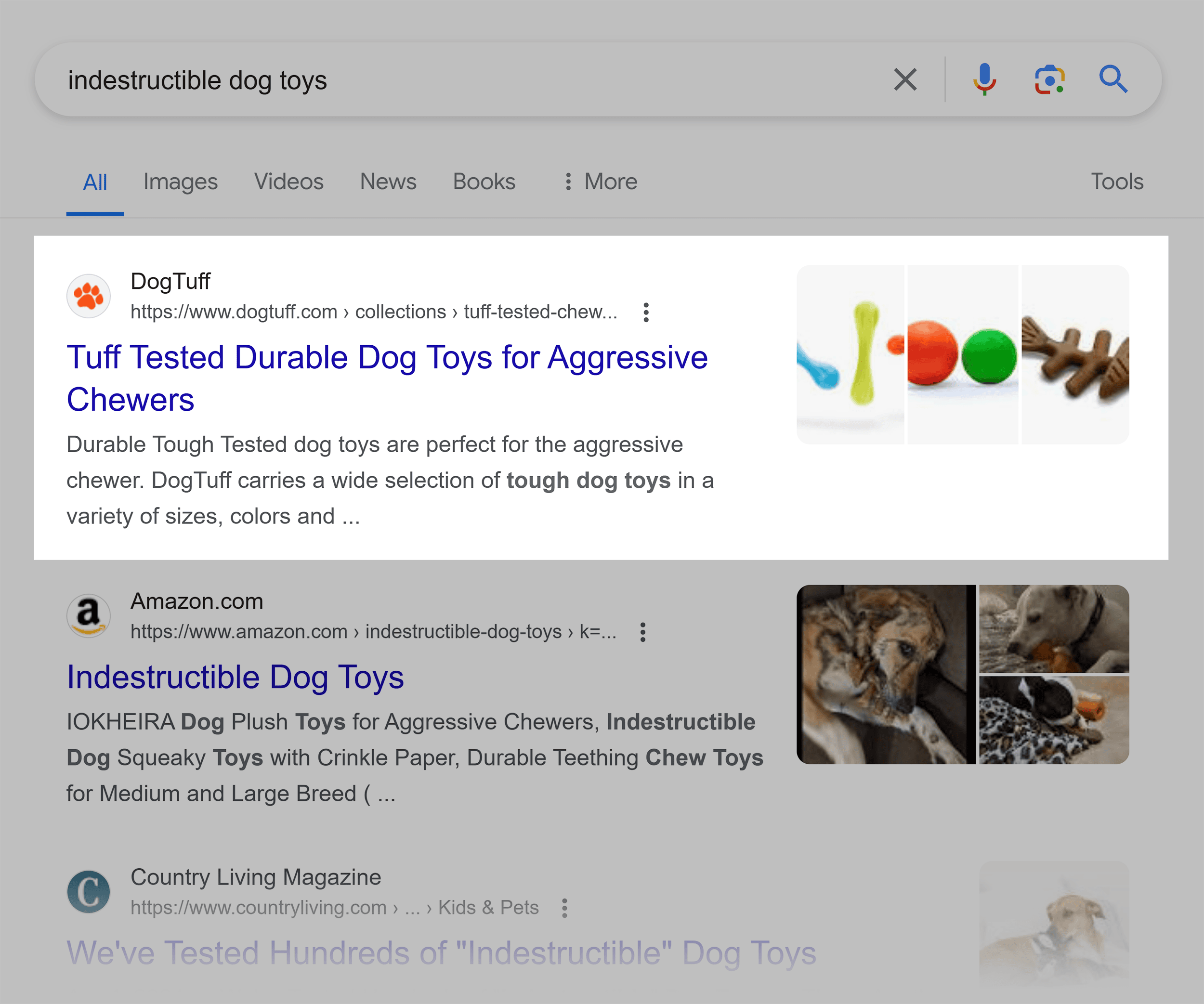 Google SERP – Indestructible dog toys Google SERP – Indestructible dog toys