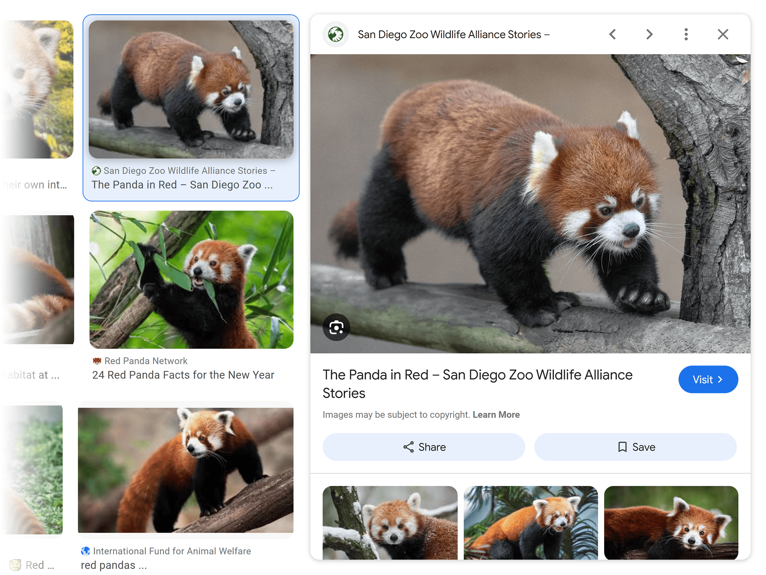 Google Images – Expanded panel Google Images – Expanded panel