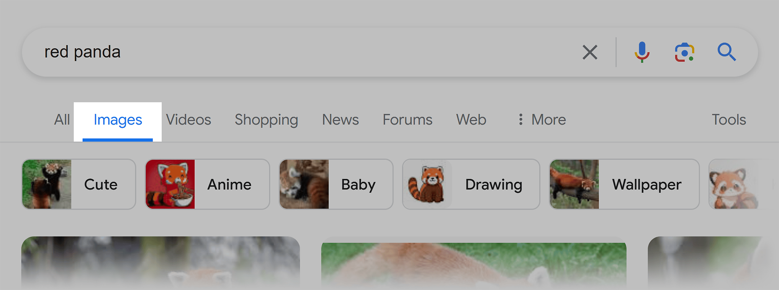 Google Search – Images Google Search – Images