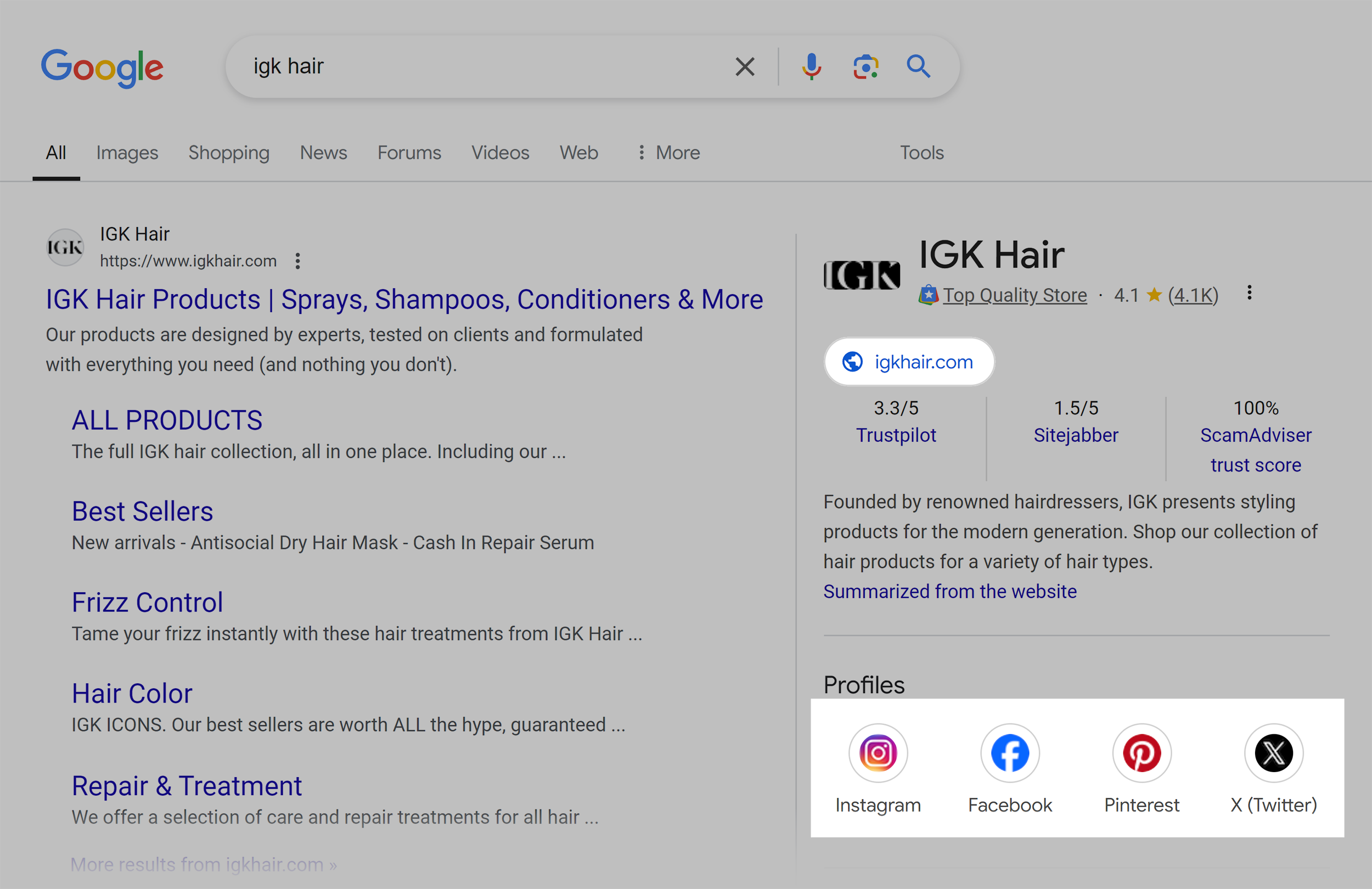 Google SERP – IGK Hair