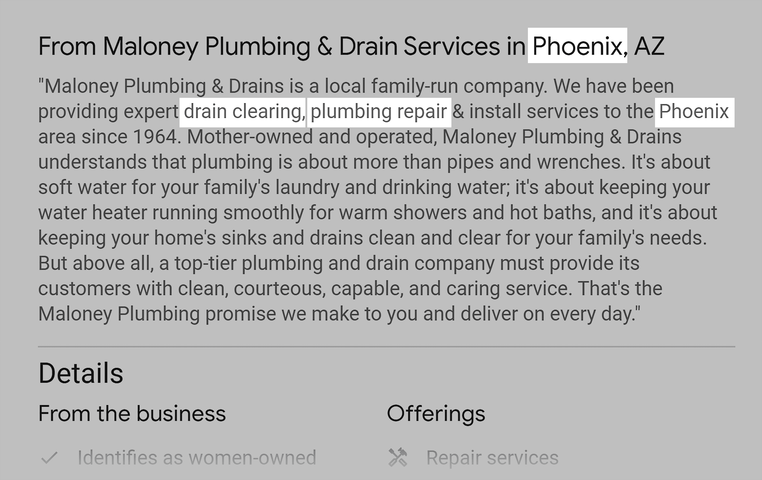 Maloney Plumbing and Drain Services – Overview – Key terms, location