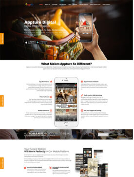 Dallas Web Developer, Website developer, Web Developers Dallas, Website Design, Web Page Designer, Web Design, Web Development, Website Development, Web-Development, Web Designer |